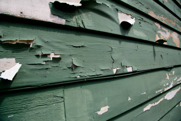 Best Siding Maintenance  in Okolona, MS