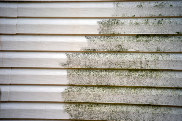 Best Siding Painting and Refinishing  in Okolona, MS