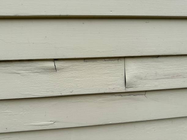 Best Historical Building Siding Restoration  in Okolona, MS